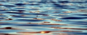 Ripple Joins x402 Foundation to Advance RLUSD AI Payments: Will XRP Price Benefit?