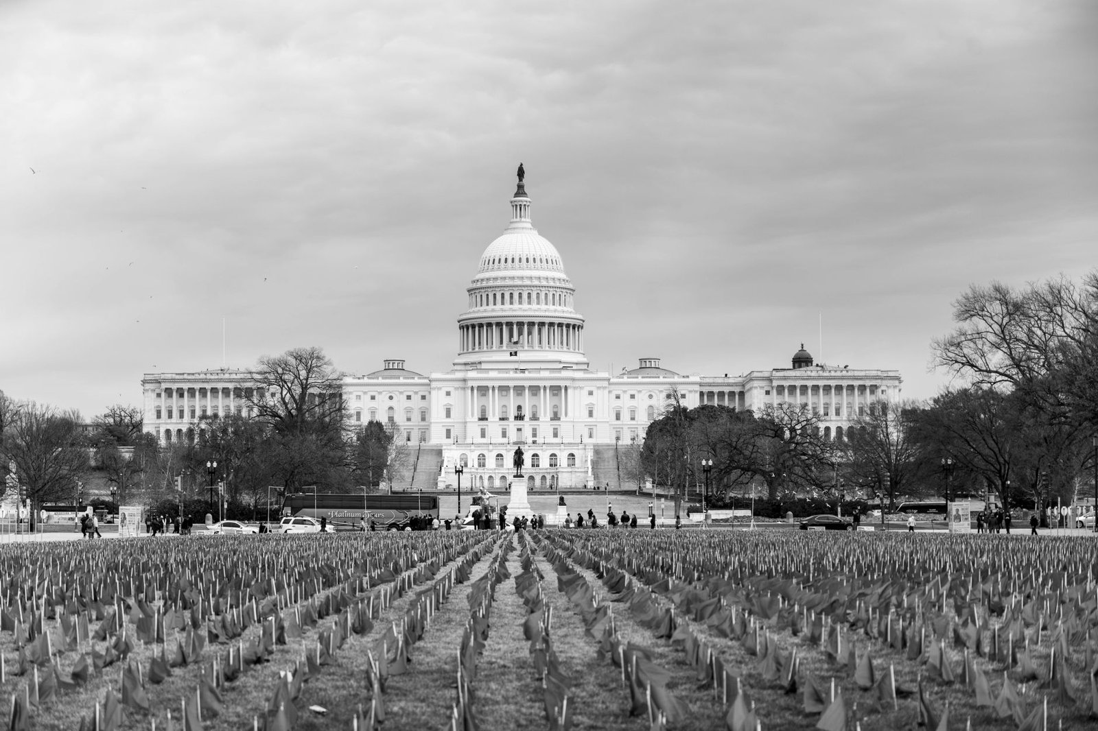 Senate CLARITY Act Ready for Prime Time, Bill Text Coming in Days: Senator Lummis