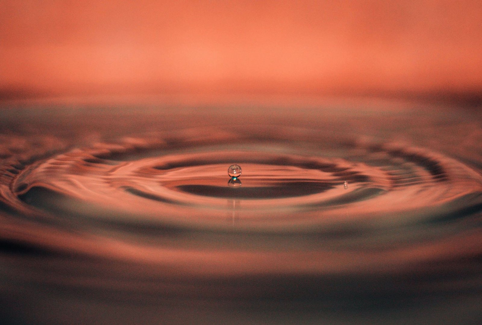 Ripple Expands RLUSD Across South Korea’s Top 4 Exchanges