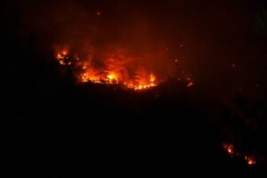 Lummis Fires Back at Warren, Says CLARITY Act Has 16+ Illicit Finance Safeguards