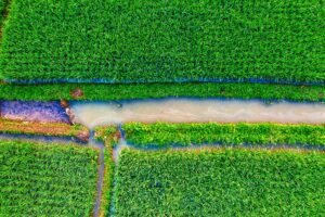 Peckshield: $5.25 Million Drained From Hedera and Bridged to Ethereum in Suspected Exploit