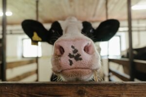 Bulls face a test unlike anything in bitcoin's 17-year history