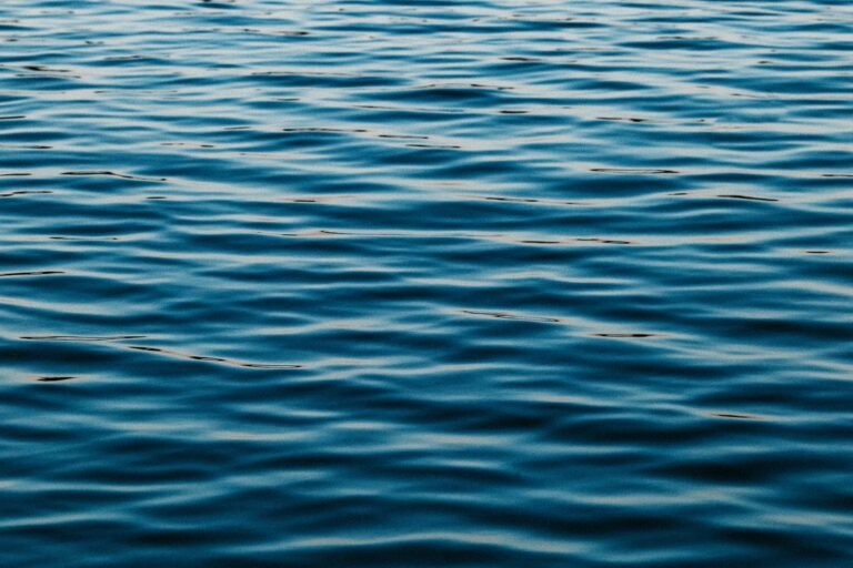 Ripple’s RLUSD gets two boosts as transfer volume drops 25%