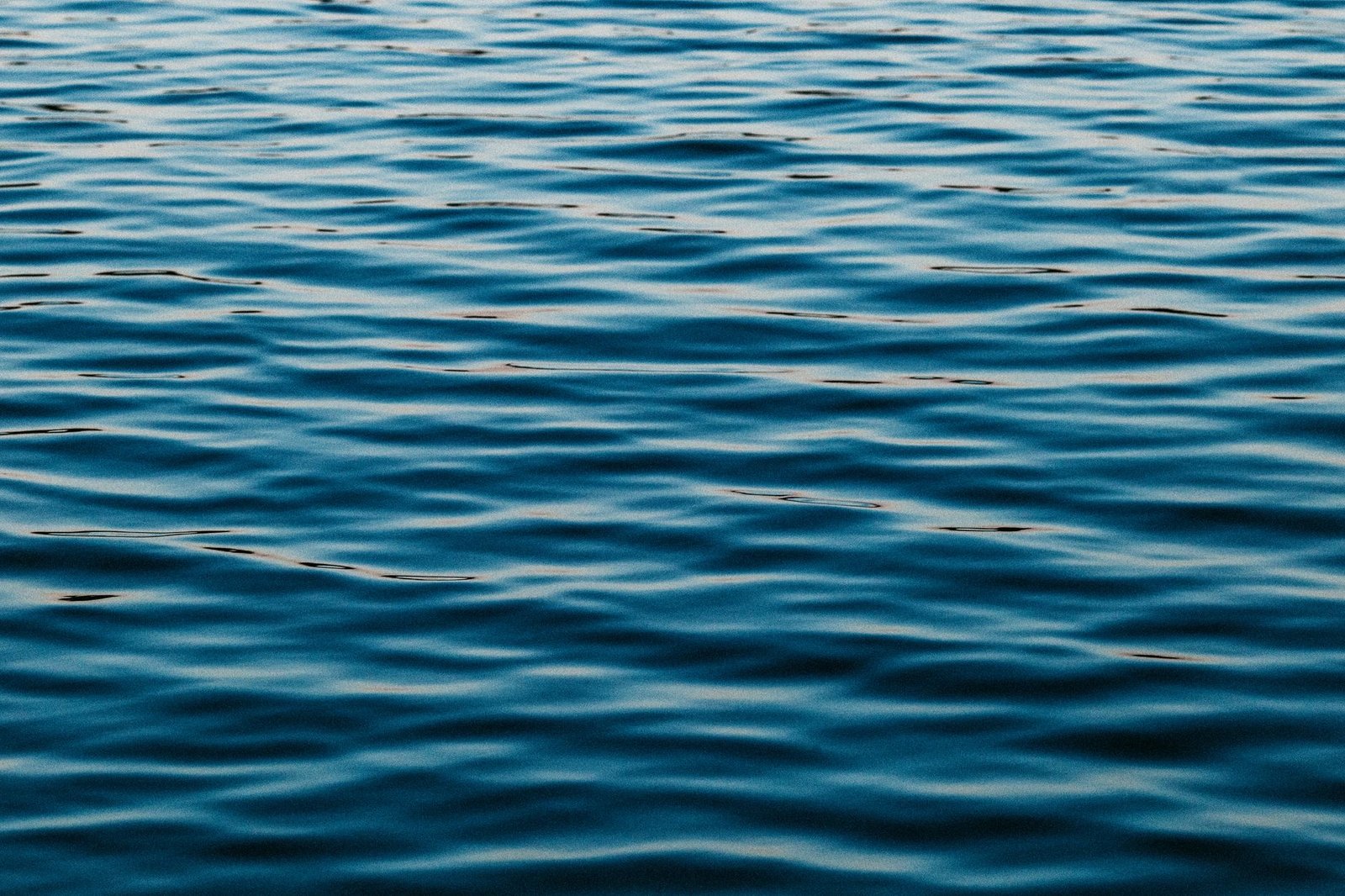 Ripple’s RLUSD gets two boosts as transfer volume drops 25%
