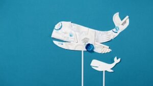 Whales vs. Mid-Tier Holders: The Dramatic Shift in Bitcoin Ownership Splitting the Market