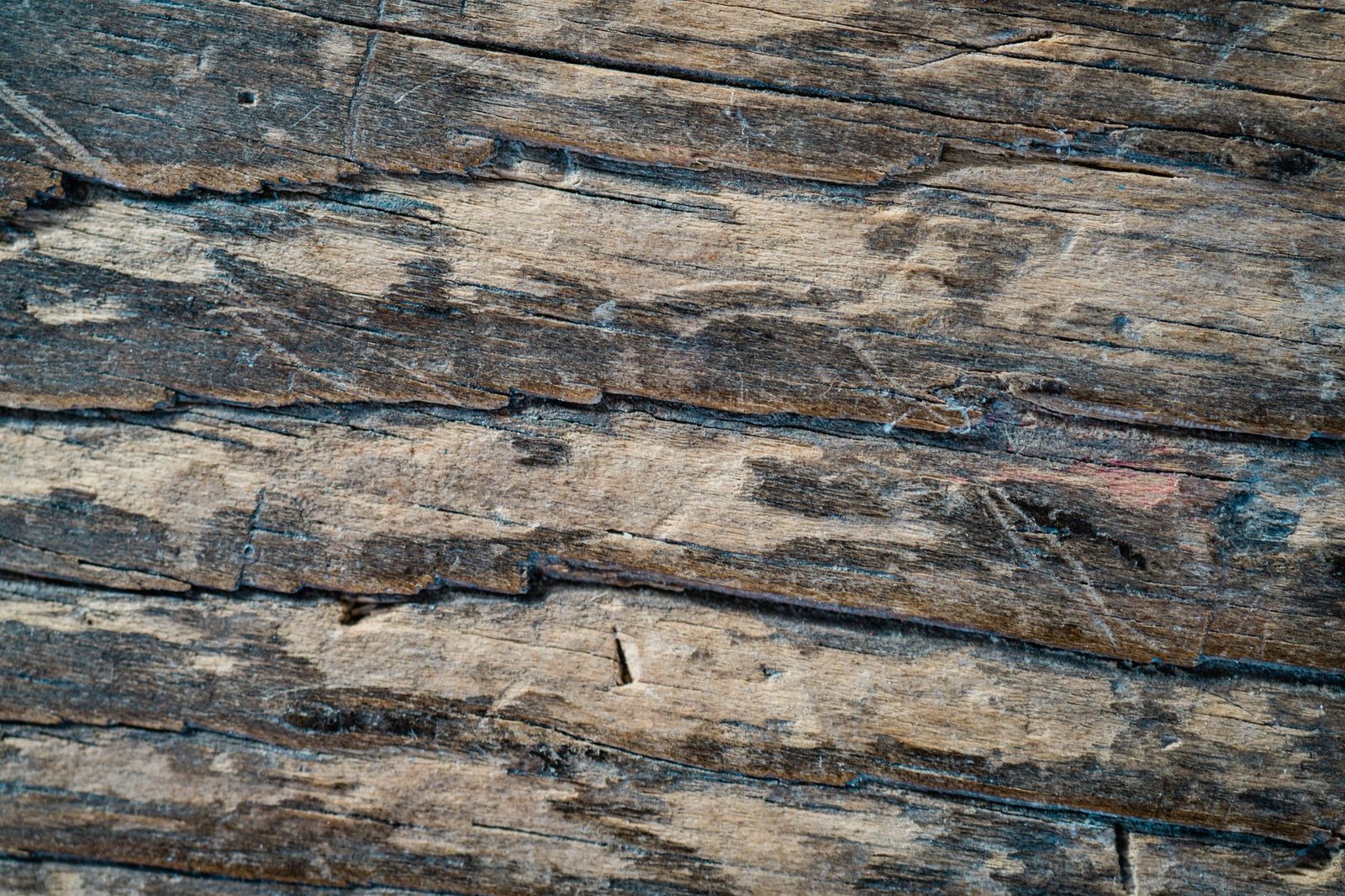 A Treasure Hunter Pulled Up the Floorboards of an Old House and Found $46,000 in Cash From the 1950s