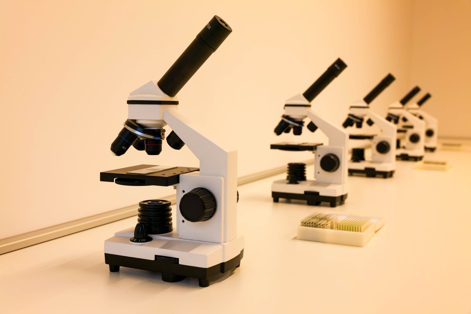 Cosmos Labs Urges EVM Chains To Halt As Shared Bug Drains Three Networks
