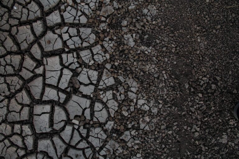MiCA cracks down on USDT in Europe... but no one else cares