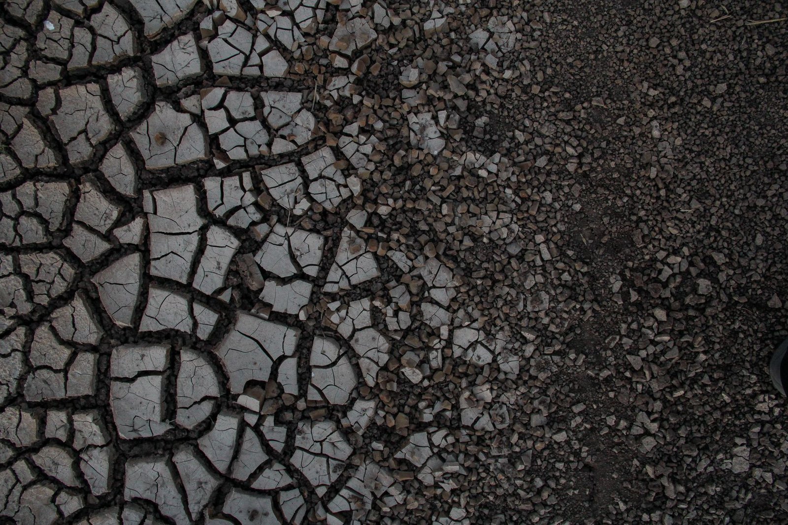 MiCA cracks down on USDT in Europe... but no one else cares