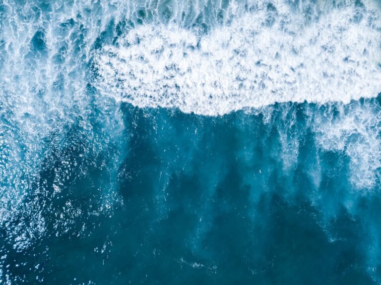 OCEAN Pledges BTC Refunds After Chain-Split Error