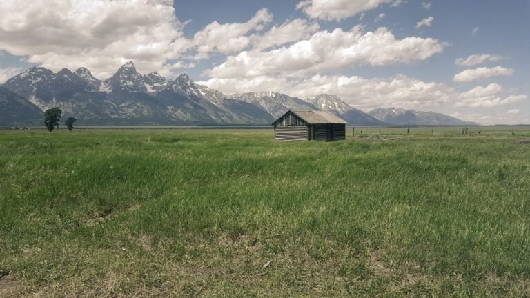 LINK Pops 3% to $9.70 as Wyoming Shifts Stablecoin to CCIP