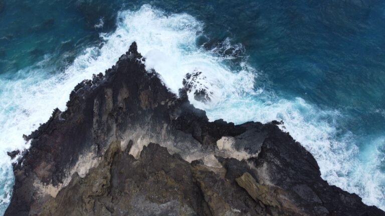 Blackrock’s IBIT Captures $479M as Bitcoin ETFs Extend Streak