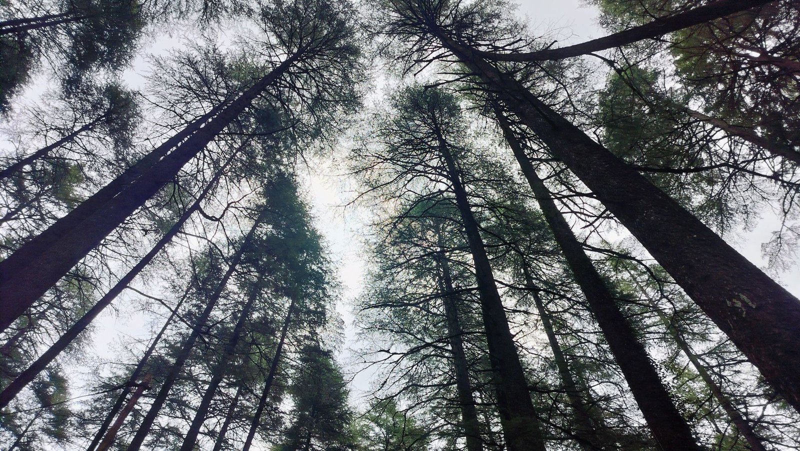 Kalshi in talks with Sequoia, Wellington for $750 million fund raise at $40 billion valuation