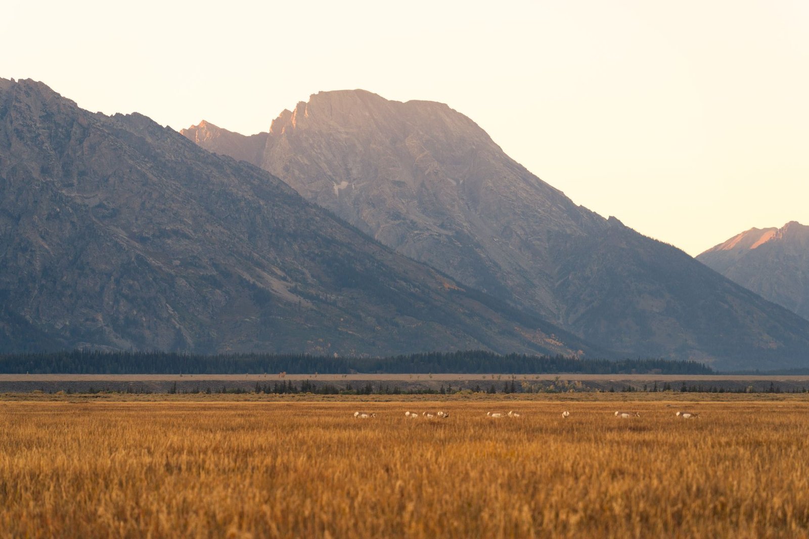 Wyoming joins $15 billion LayerZero exodus with state stablecoin move