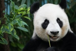 Bitpanda fined in Austria’s first published MiCA penalty