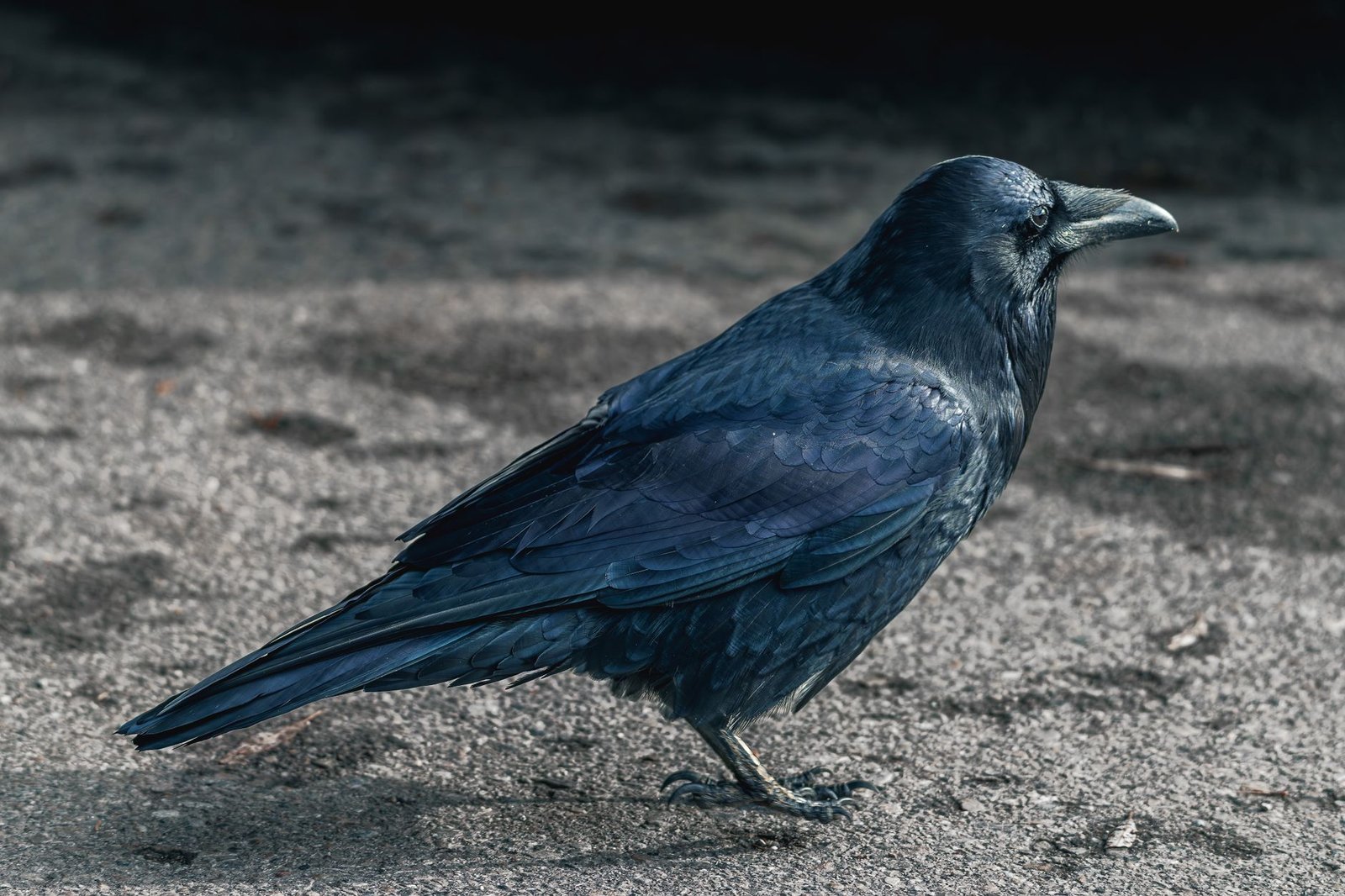Ravencoin could roll back four days of transactions after critical block flaw