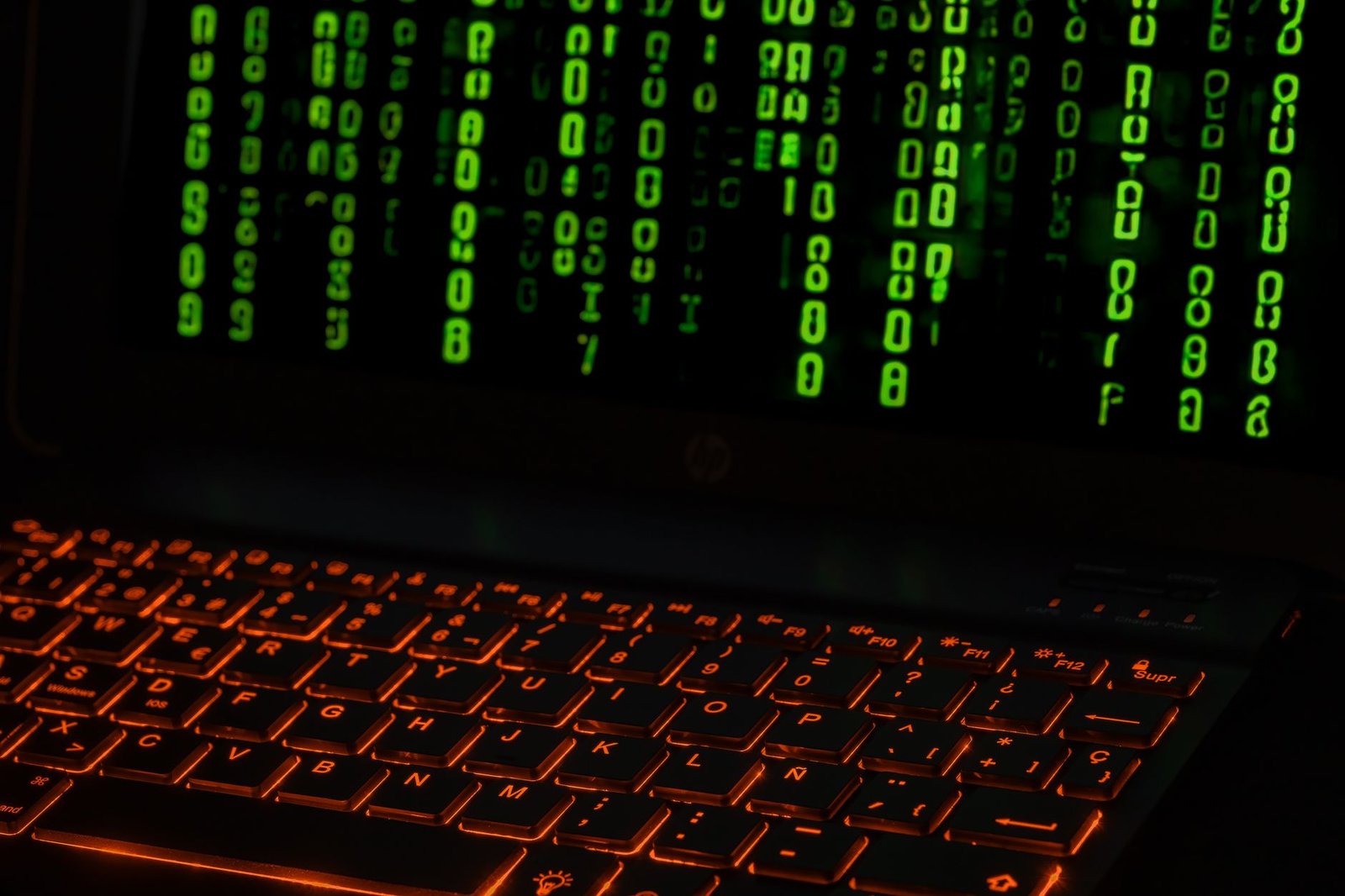 Boltz pauses service after wave of AI-assisted hacking attempts