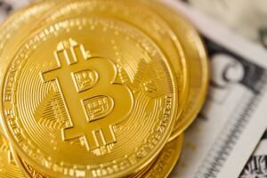Crypto whales accumulate as bear market nears late stage: CryptoQuant