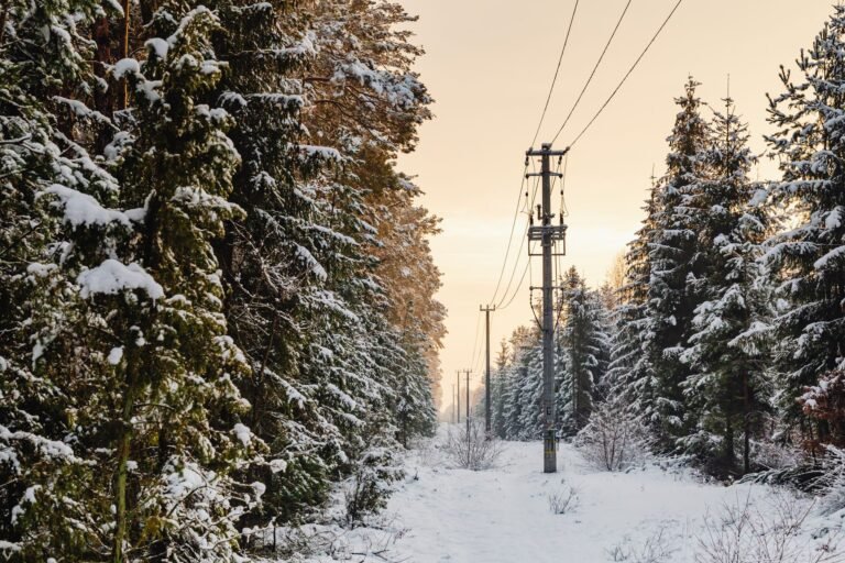 Tether Completes Audit, Wintermute Bets on AI and High-Frequency Trading, And More – Weekly Recap