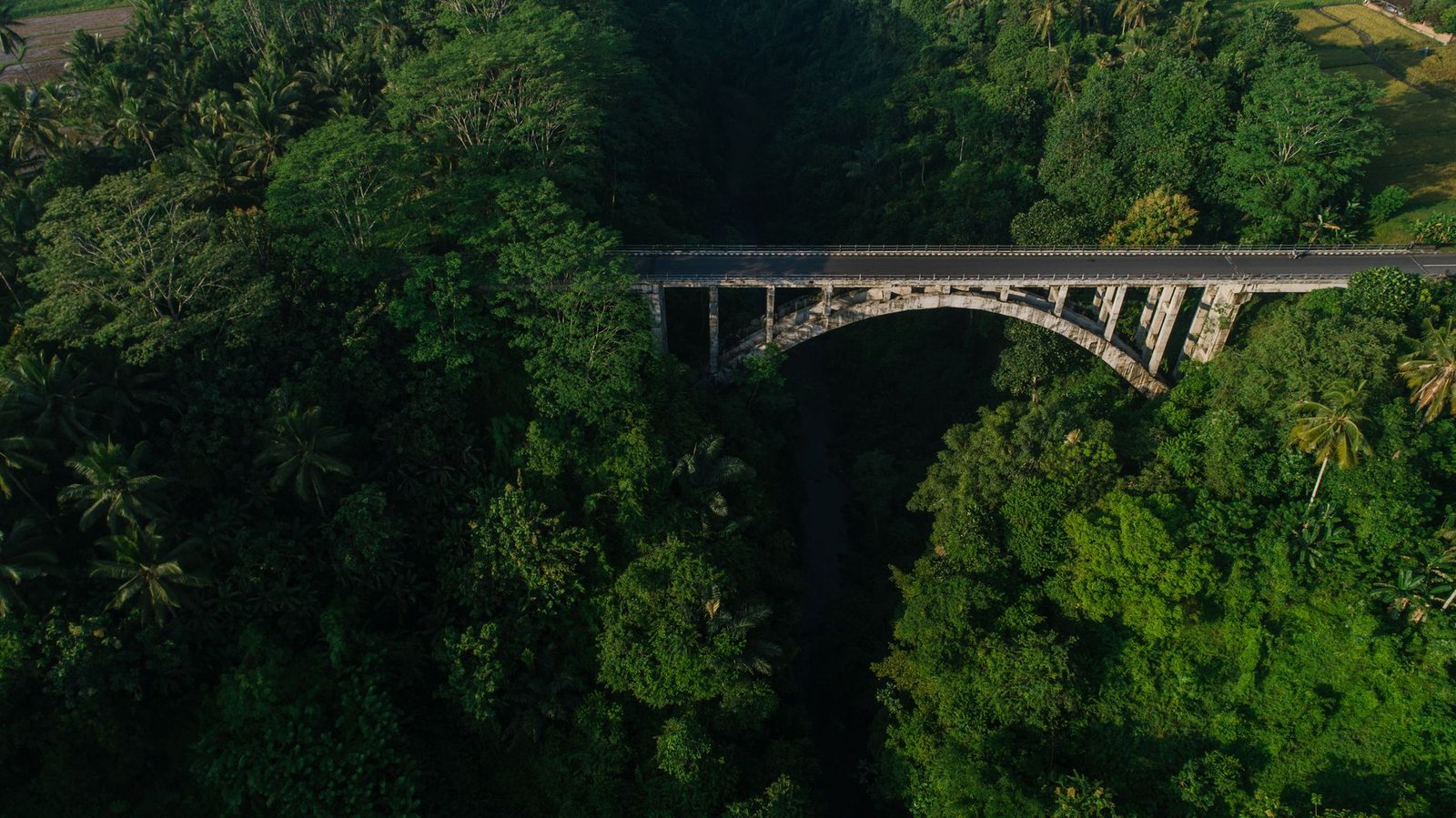 XRP bridge drained for $200,000 after software mistook fake deposits for real ones