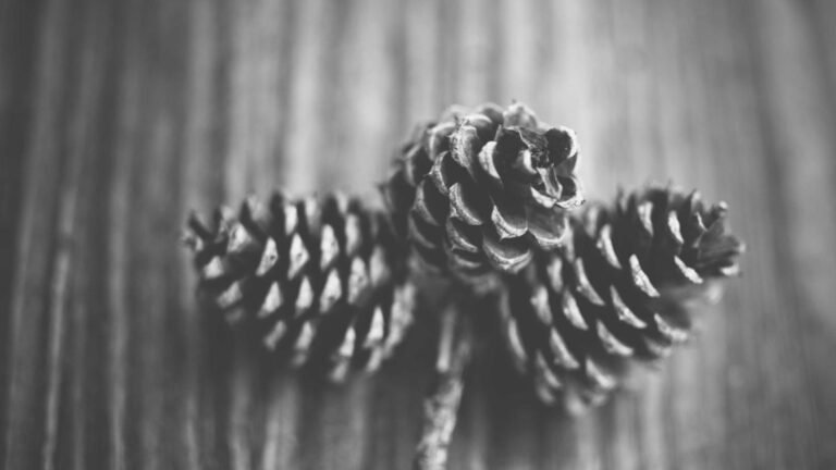 Block Adds Bitcoin Lightning to x402 Standard