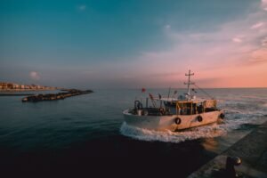 OpenSea Adds Solana NFT Trading Across OS2