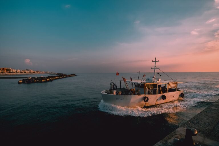 OpenSea Adds Solana NFT Trading Across OS2