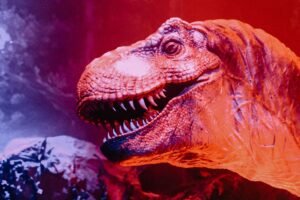 REX launches 2x leveraged ETF tied to Bitcoin treasury firm Strive