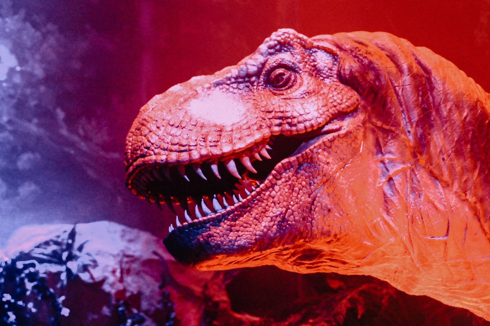 REX launches 2x leveraged ETF tied to Bitcoin treasury firm Strive
