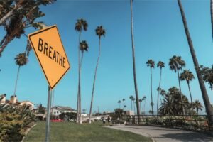 Newsom signs California ban on public officials issuing memecoins