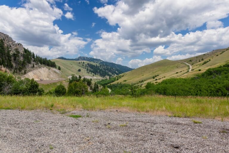 Wyoming Puts Its Stablecoin Reserves Onchain With Under $1 Million Outstanding