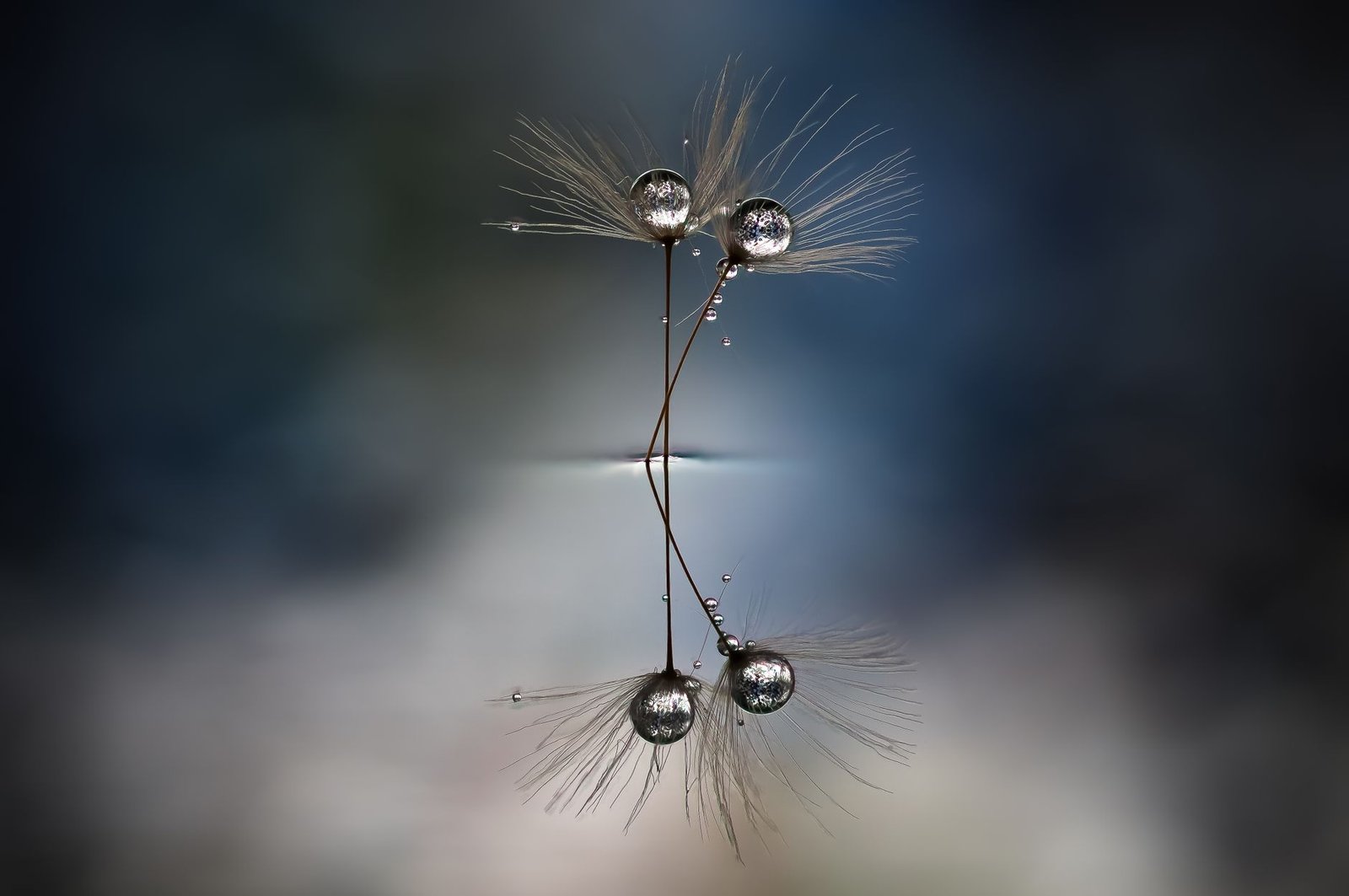 Tether And Fasanara Seed A $400 Million Private Credit Fund