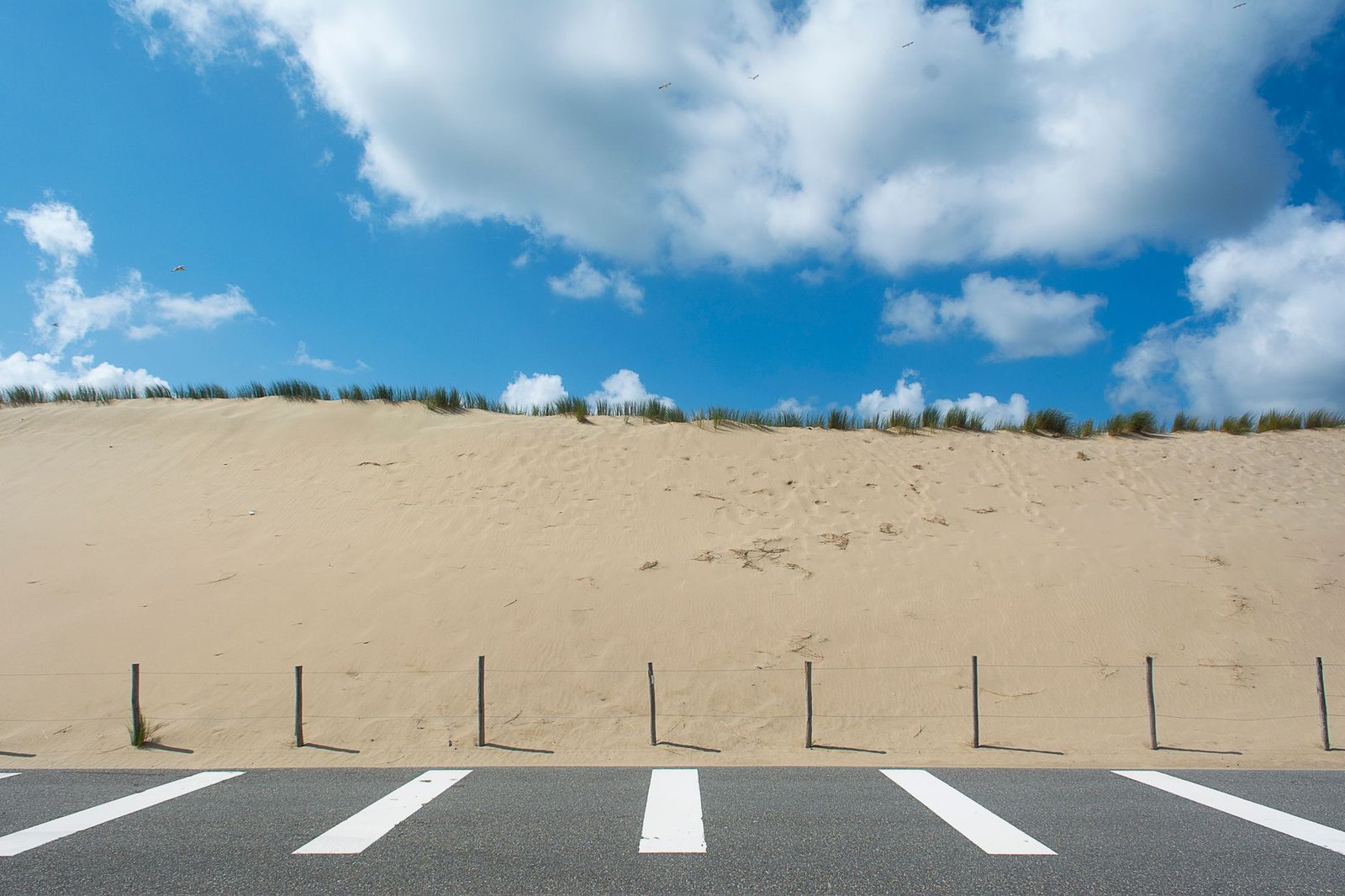 Dune Flags Yield Shortfall at Tokenized Money Funds