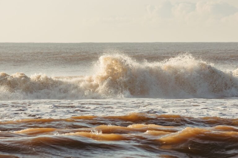 Ripple Swell 2026 Agenda Goes Live With XRP in Finance’s Next Wave