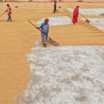 India’s Arya.ag to put grain ownership records on Avalanche