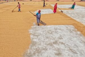 India’s Arya.ag to put grain ownership records on Avalanche