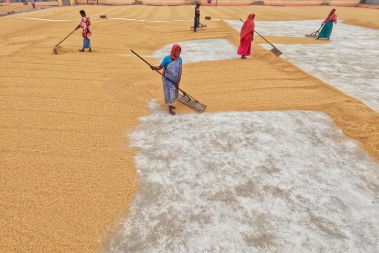 India’s Arya.ag to put grain ownership records on Avalanche