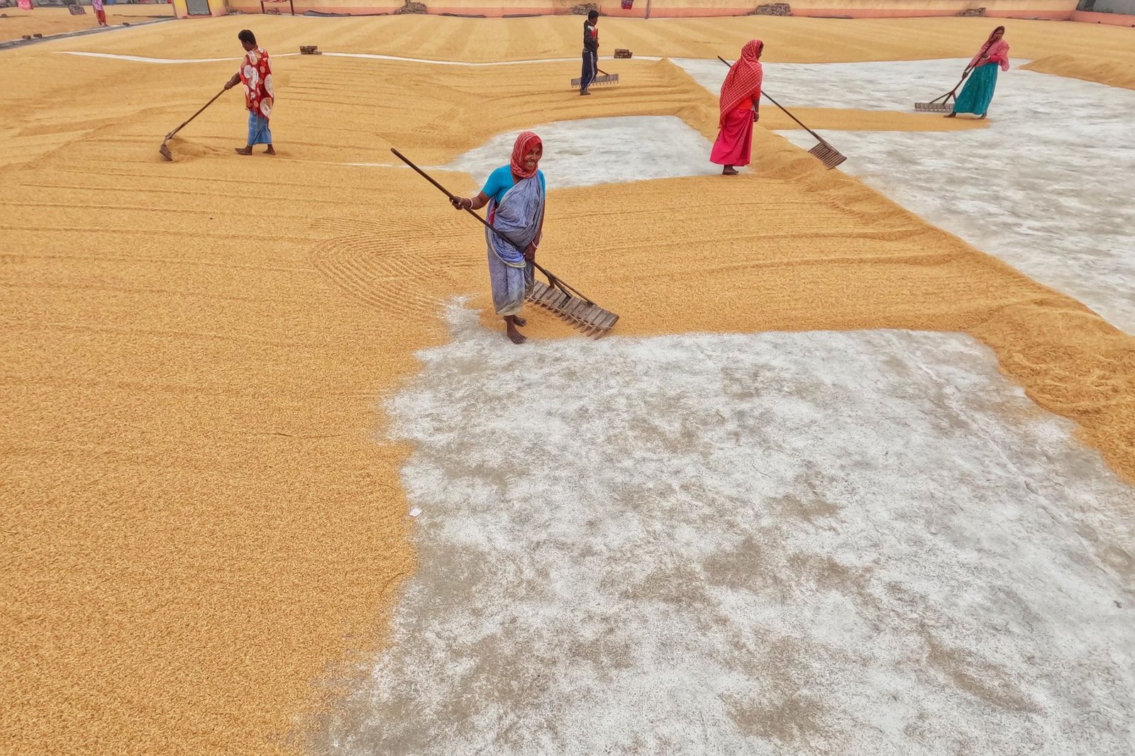 India’s Arya.ag to put grain ownership records on Avalanche