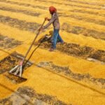 Indian agri warehouse giant is putting $2 billion in grain-backed loans onchain