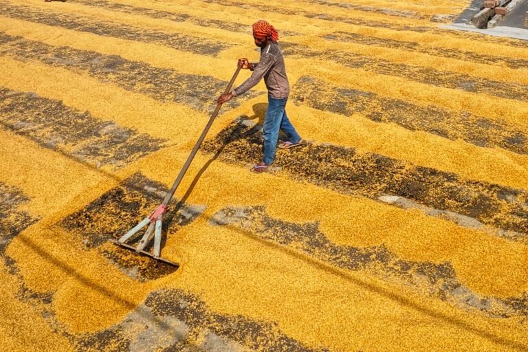 Indian agri warehouse giant is putting $2 billion in grain-backed loans onchain