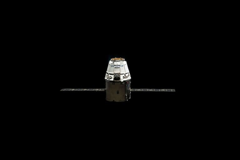In 1984, NASA Sent 3,301 Bees to Space and They Built Comb in Seven Days