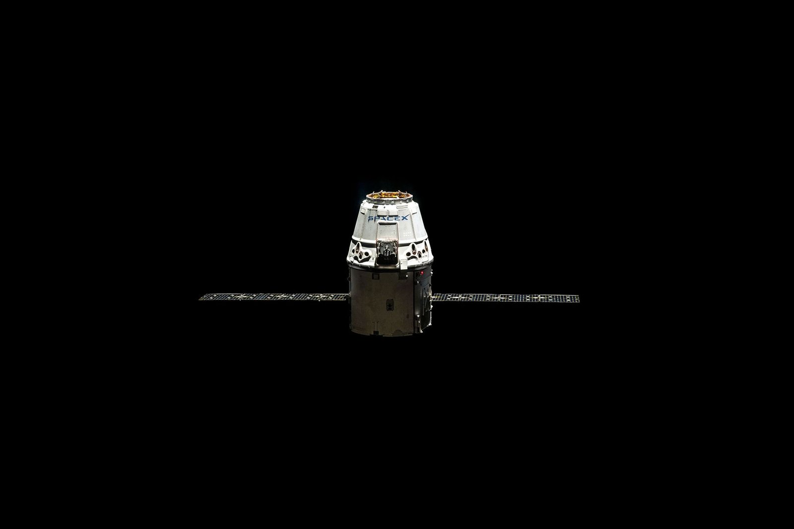 In 1984, NASA Sent 3,301 Bees to Space and They Built Comb in Seven Days