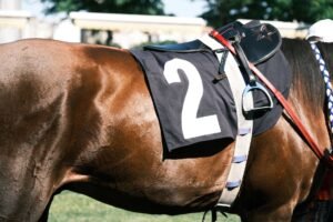 A 97% Favorite Lost at Goodwood and the Bookmakers Still Took a Hit
