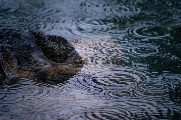 Ripple Former CTO Says XRP Could Flip Bitcoin Through an 18x Surge