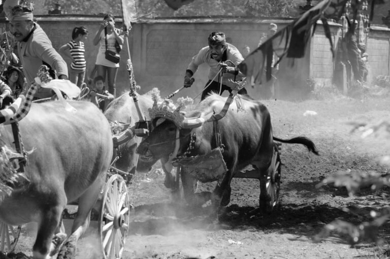 The Next Bull Run Could Be One Big Airdrop Away