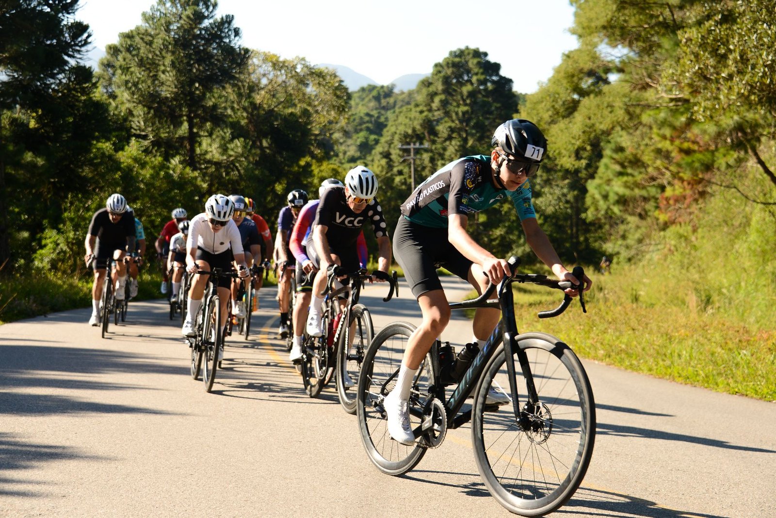 OCC Gives Catena Preliminary Conditional Approval for National Trust Bank