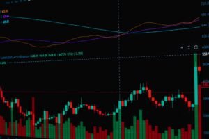 XRP ETFs pull in $170 million over eleven days. Goldman tops institutional holders
