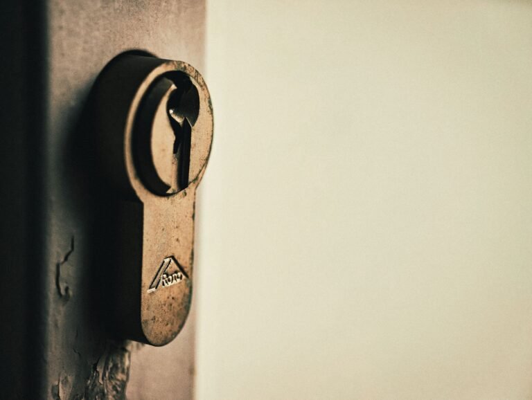 Zcash Surges 2,496% as Privacy Sector Leaves Crypto Rivals Behind