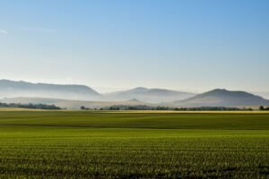 French Hill Highlights CLARITY Act as 2026 Passage Odds Hit 15%