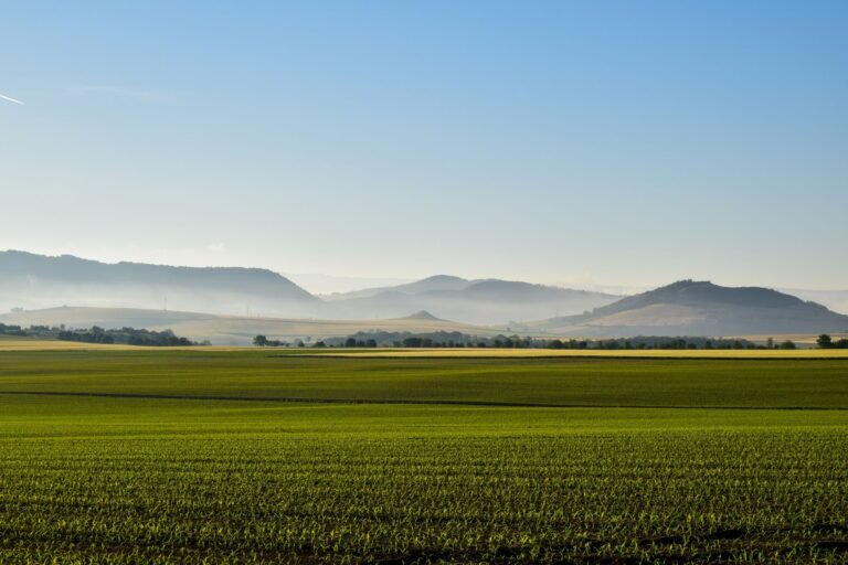 French Hill Highlights CLARITY Act as 2026 Passage Odds Hit 15%